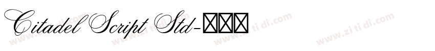 Citadel Script Std字体转换